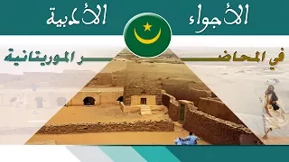 شعراء بني الحسن محمد ولد فتى 