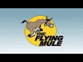 Scale Model Retailers The Flying Mule