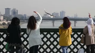 اريدك بالحلم خطار شاكر روژ 