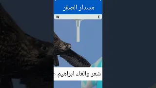 الشاعر ابراهيم عوض الله الرفاعي 