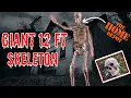 12 ft skeleton from Home Depot - Unboxing and assembly Awesome prop
