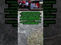 Download Lagu Presiden Prabowo mengatakan Tidak Ada Keterkaitan Dengan Ormas \