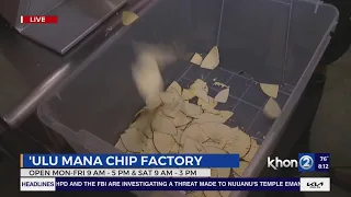 Download ʻUlu Mana Chip Factory began with a dream, now creates delectable local treats MP3