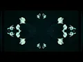 Molly Yam - LADY 9A9A (Official Video)