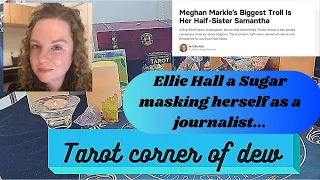 Ellie Hall a sugar disguised as a journalist