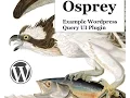 Creating a WordPress Query UI Plugin - Part 1