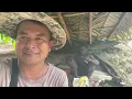 Download Lagu NIAT NAK LOADING MALAM TAPI HARI HUJAN // TEPAKSA HANTAR BALIK,PAKCIK SAKIT MALARIA