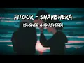 Fitoor | Shamshera | Arijit Singh, Neeti Mohan (Slowed and Reverb)