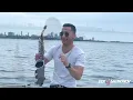 Lagu I Will Always Love You - Whitney Houston - 4K Saxophone cover by Edi Shimonov
