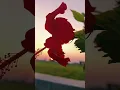 gaav ki sun set