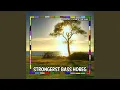 Download Lagu STRONGERST BASS HOREG