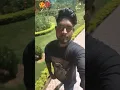 Download Lagu 💯😍 Goli Chali Dhaye#video Bhojpuri