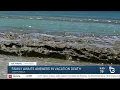 Family of Scripps Ranch man awaits answers in Maui vacation death
