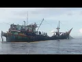 Download Lagu CNS.. pukat tongkol dari sibolga