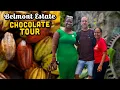 Download Lagu For the CHOCOLATE Lovers! Belmont Estate, Grenada 🇬🇩