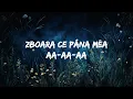 1 Hour |  Matteo - Panama (Lyrics) (TikTok Remix)  | Charity Assey Lyrics