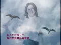 夏川里美  淚そうそう ( 淚光閃閃)
