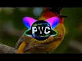 Download Lagu backsound dj Today's the day donghua x birds animals