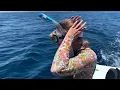 Swimming with Big Animals - Sea of Cortez