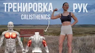 Тренировка рук без веса | calisthenics