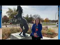 DGS Principal Lyp November