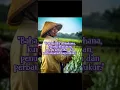 Download Lagu kata kata bijak bahwa bahagia itu sederhana