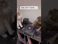 Download Lagu b2b Dj Set Goes HORRIBLY wrong