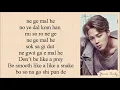 Bts lie lyrics (jimin)