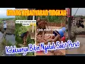 Lagu KUMPULAN VIDEO KOCAK TERBARU‼️Kelakuan warga +62 selalu bikin ngakak🤣