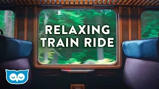 Train Ride Ambience Ambient White Noise For Sleeping Focus Studying Reading 