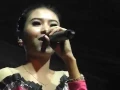 Download Lagu Dangdut Koplo - Bojoku ketikung -  NDX A.K.A - Fanny Nabila - Pratama Musik Wiradesa Pekalongan
