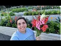 Download Lagu The Abundance is Starting to Roll In!  Full July Garden Tour