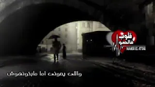 قلوب فالصو دندنها