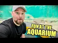 Newport Aquarium FULL TOUR - Sharks Alligators More Newport Ky