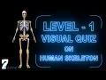 Visual Quiz on Human Skeleton Level - 1