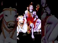 Download Lagu Shiv pita parmatma karte hai teri#Hari haran