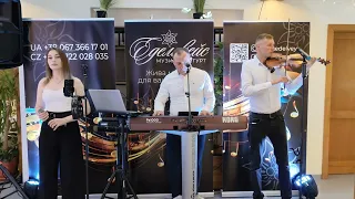 Зелене листя білі каштани Українська народна пісня Гурт Едельвейс 2025 