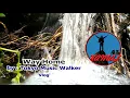 Download Lagu ( Way Home   Tokyo Music Walker (Music for vlogs