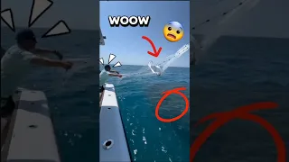 شخص اصطاد كمية هائلة من السردين صيد السمك 