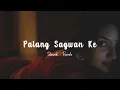 Download Lagu Palang Sagwan Ke - Slowed Reverb | Khesari Lal Yadav