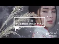 Lagu Xue Hua Piao Piao DJ Edm Mix [LazeCat TikTok] 一剪梅 Yi Jian Mei
