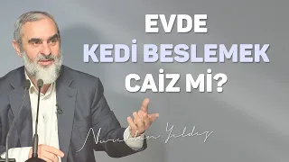 Evde kedi beslemek caiz mi?