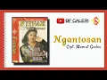 Download Lagu IIS ARISKA BBR - NGANTOSAN