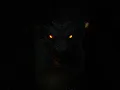 Download Lagu Wrath of the Dragon 🐉 #epicmusic #soundtrack