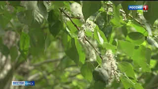 В Омске наступает пожароопасный период