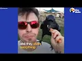 Raven Shakes His Tail Feathers Every Time He Sees Dad | The Dodo