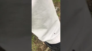 Deer tick on Permethrin treated pants