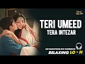Lagu TERI UMEED TERA INTEZAR || RELAXING LO- FI VERSION | तेरी उम्मीद तेरा इंतज़ार | 90S HINDI COVER SONG