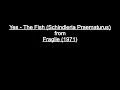 Download Lagu Yes - The Fish (Schindleria Praematurus) Lyrics