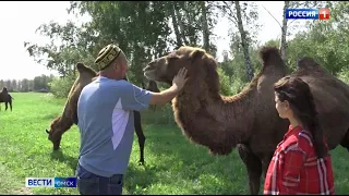 Необычное хозяйство в Крутинском районе развёл фермер из жаркого Баку